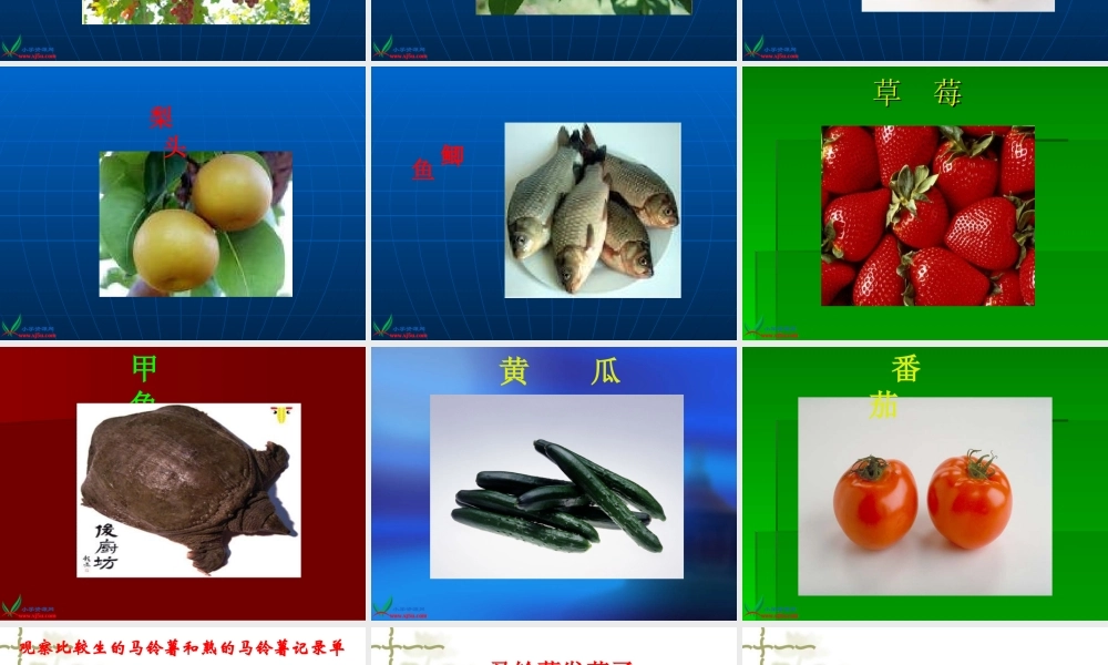教科小学科学四下《3.4.生的食物和熟的食物》PPT课件(2)【加微信公众号 jiaoxuewuyou 九折优惠 qq 1119139686】.ppt