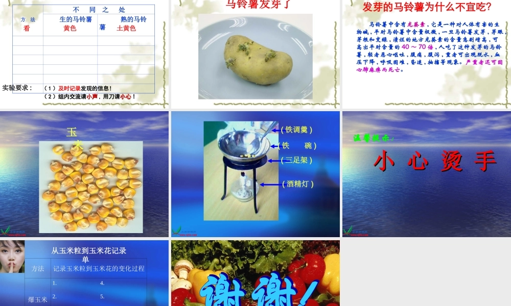 教科小学科学四下《3.4.生的食物和熟的食物》PPT课件(2)【加微信公众号 jiaoxuewuyou 九折优惠 qq 1119139686】.ppt