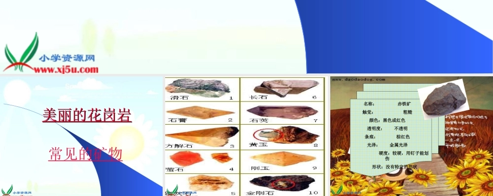 教科小学科学四下《4.3.岩石的组成》PPT课件(1)【加微信公众号 jiaoxuewuyou 九折优惠 qq 1119139686】.ppt