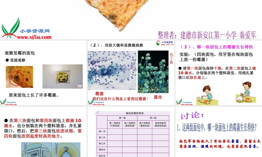 教科小学科学四下《3.5.面包发霉了》PPT课件(3)【加微信公众号 jiaoxuewuyou 九折优惠 qq 1119139686】.ppt