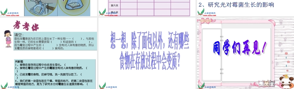 教科小学科学四下《3.5.面包发霉了》PPT课件(3)【加微信公众号 jiaoxuewuyou 九折优惠 qq 1119139686】.ppt