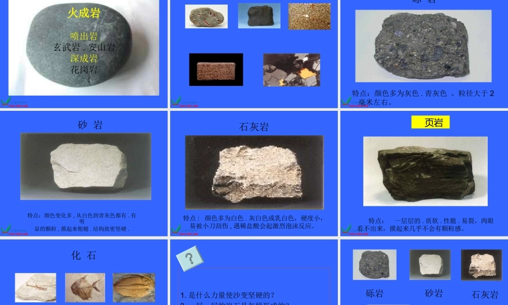 教科小学科学四下《4.3.岩石的组成》PPT课件(2)【加微信公众号 jiaoxuewuyou 九折优惠 qq 1119139686】.ppt