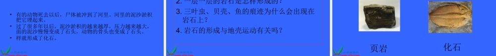 教科小学科学四下《4.3.岩石的组成》PPT课件(2)【加微信公众号 jiaoxuewuyou 九折优惠 qq 1119139686】.ppt