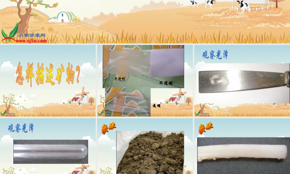 教科小学科学四下《4.5.观察、描述矿物（二）》PPT课件(2)【加微信公众号 jiaoxuewuyou 九折优惠 qq 1119139686】.ppt