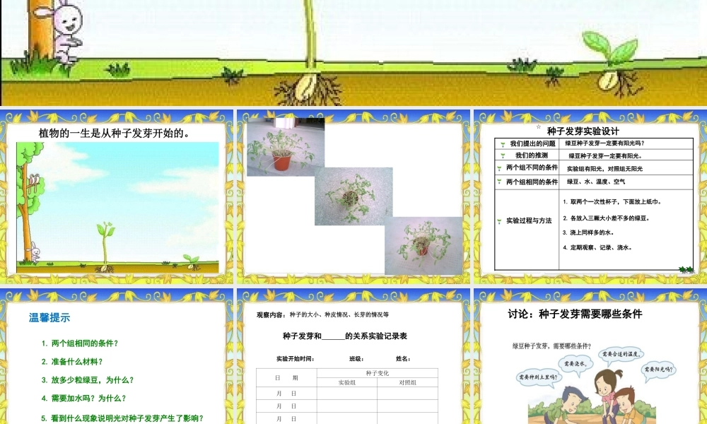 教科小学科学五上《1.1、种子发芽实验（一）》PPT课件(4)【加微信公众号 jiaoxuewuyou 九折优惠 qq 1119139686】.ppt