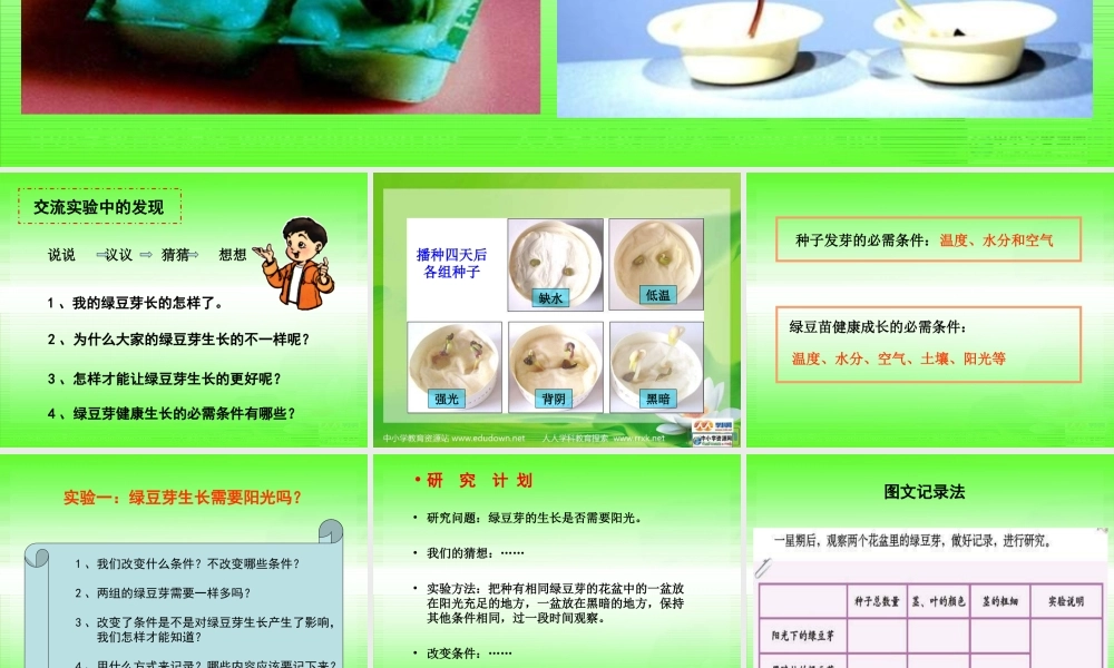 教科小学科学五上《1.3、观察绿豆芽的生长》PPT课件(2)【加微信公众号 jiaoxuewuyou 九折优惠 qq 1119139686】.ppt