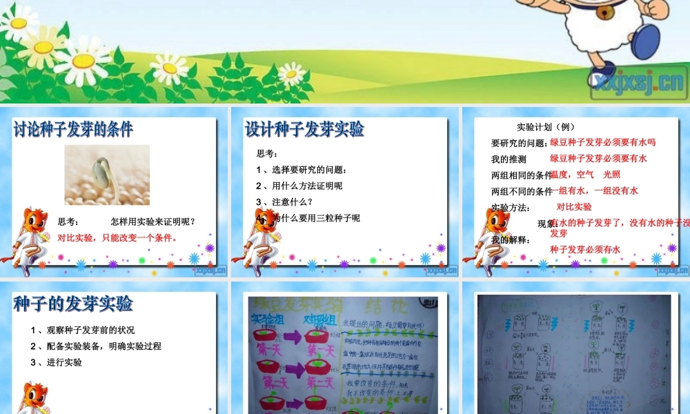 教科小学科学五上《1.1、种子发芽实验（一）》PPT课件(6)【加微信公众号 jiaoxuewuyou 九折优惠 qq 1119139686】.ppt