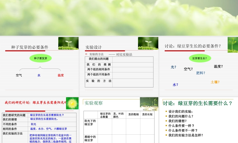 教科小学科学五上《1.3、观察绿豆芽的生长》PPT课件(4)【加微信公众号 jiaoxuewuyou 九折优惠 qq 1119139686】.ppt