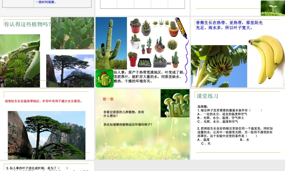 教科小学科学五上《1.3、观察绿豆芽的生长》PPT课件(4)【加微信公众号 jiaoxuewuyou 九折优惠 qq 1119139686】.ppt