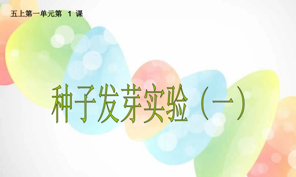 教科小学科学五上《1.1、种子发芽实验（一）》PPT课件(3)【加微信公众号 jiaoxuewuyou 九折优惠 qq 1119139686】.ppt