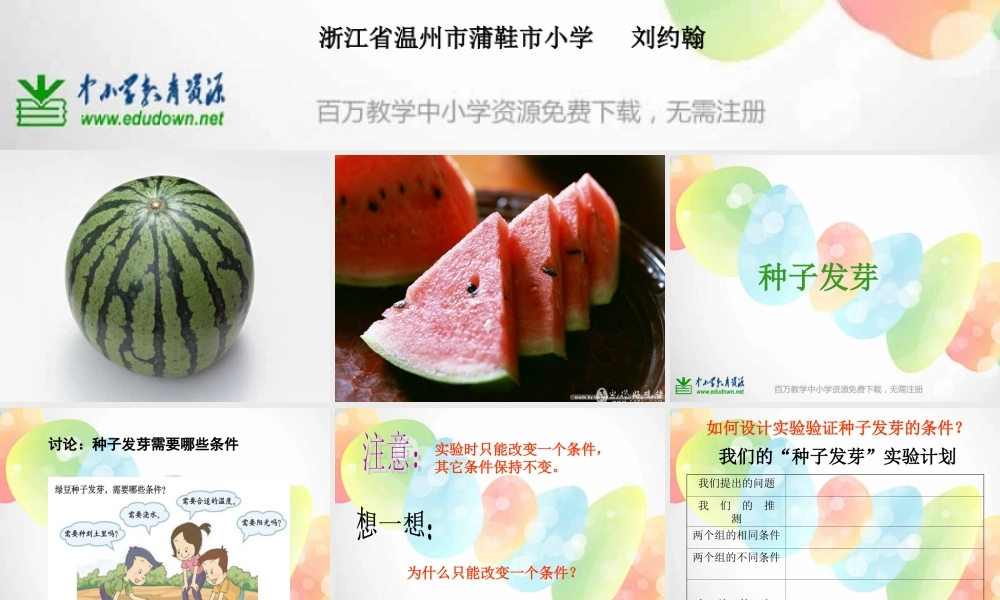 教科小学科学五上《1.1、种子发芽实验（一）》PPT课件(3)【加微信公众号 jiaoxuewuyou 九折优惠 qq 1119139686】.ppt