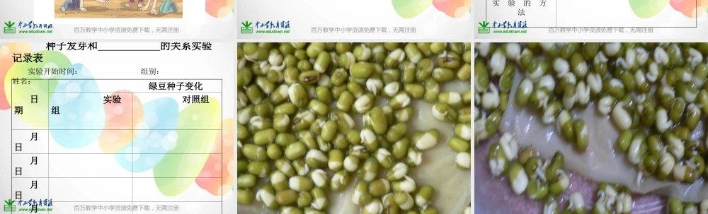 教科小学科学五上《1.1、种子发芽实验（一）》PPT课件(3)【加微信公众号 jiaoxuewuyou 九折优惠 qq 1119139686】.ppt