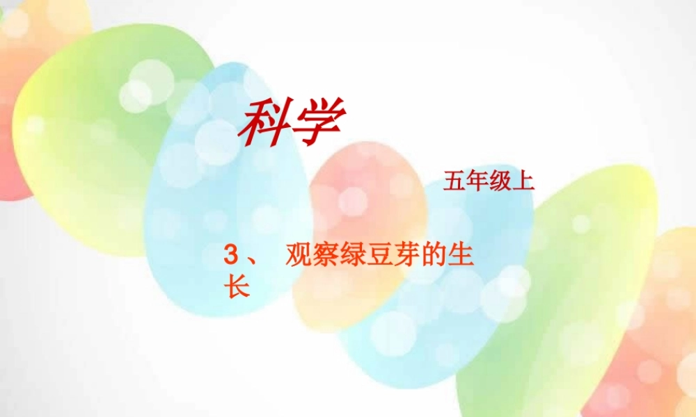 教科小学科学五上《1.3、观察绿豆芽的生长》PPT课件(1)【加微信公众号 jiaoxuewuyou 九折优惠 qq 1119139686】.ppt