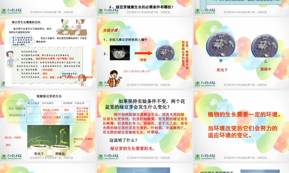 教科小学科学五上《1.3、观察绿豆芽的生长》PPT课件(1)【加微信公众号 jiaoxuewuyou 九折优惠 qq 1119139686】.ppt