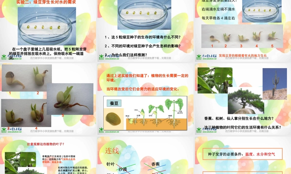 教科小学科学五上《1.3、观察绿豆芽的生长》PPT课件(1)【加微信公众号 jiaoxuewuyou 九折优惠 qq 1119139686】.ppt