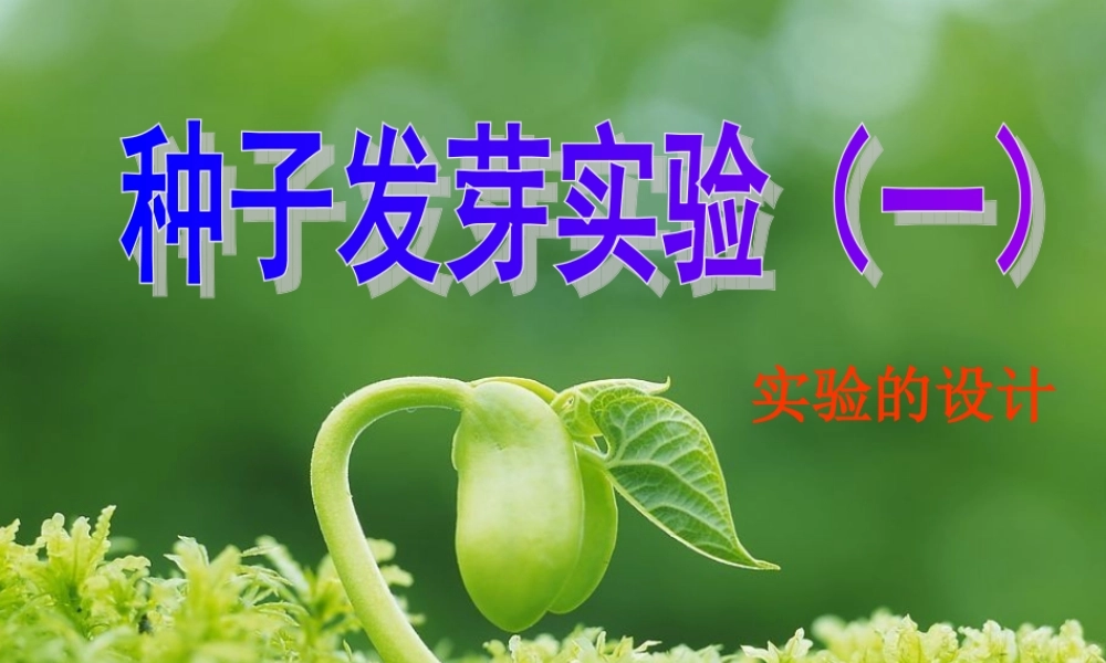 教科小学科学五上《1.1、种子发芽实验（一）》PPT课件(5)【加微信公众号 jiaoxuewuyou 九折优惠 qq 1119139686】.ppt