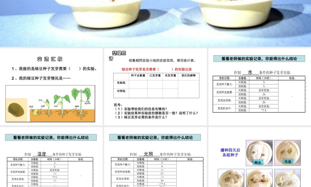 教科小学科学五上《1.2、种子发芽实验（二）》PPT课件(3)【加微信公众号 jiaoxuewuyou 九折优惠 qq 1119139686】.ppt