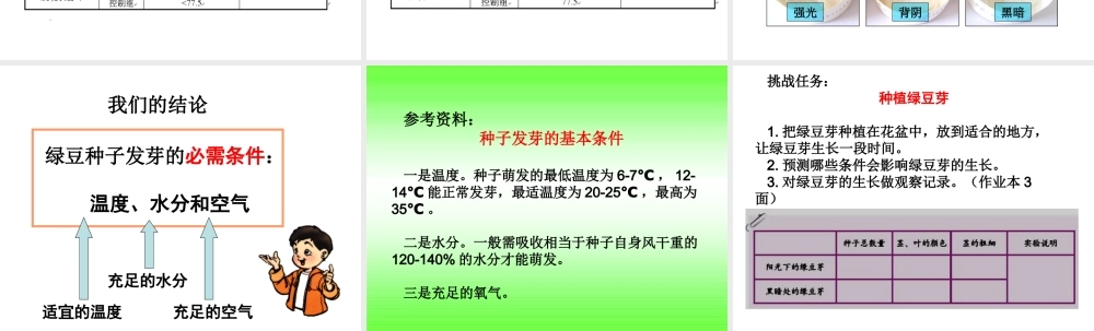 教科小学科学五上《1.3、观察绿豆芽的生长》PPT课件(3)【加微信公众号 jiaoxuewuyou 九折优惠 qq 1119139686】.ppt