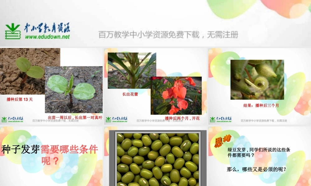 教科小学科学五上《1.1、种子发芽实验（一）》PPT课件(2)【加微信公众号 jiaoxuewuyou 九折优惠 qq 1119139686】.ppt