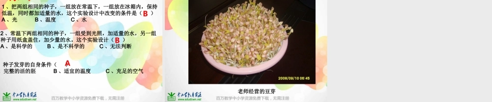 教科小学科学五上《1.1、种子发芽实验（一）》PPT课件(2)【加微信公众号 jiaoxuewuyou 九折优惠 qq 1119139686】.ppt