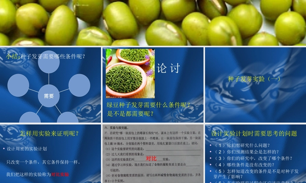 教科小学科学五上《1.1、种子发芽实验（一）》PPT课件(9)【加微信公众号 jiaoxuewuyou 九折优惠 qq 1119139686】.ppt