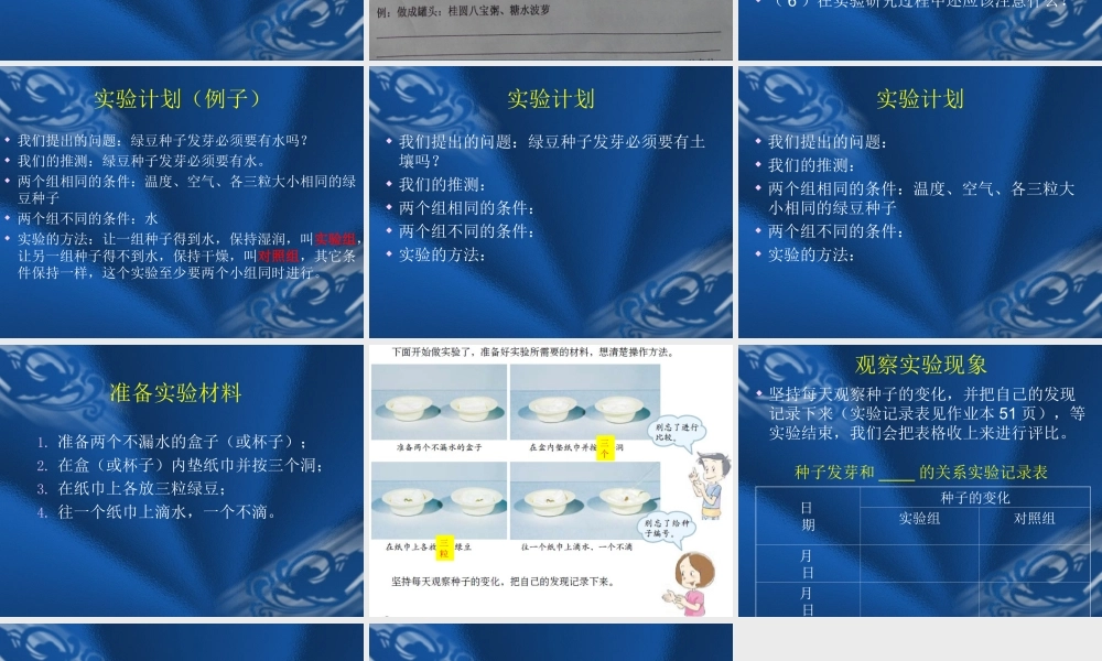 教科小学科学五上《1.1、种子发芽实验（一）》PPT课件(9)【加微信公众号 jiaoxuewuyou 九折优惠 qq 1119139686】.ppt