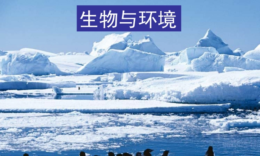 教科小学科学五上《1.1、种子发芽实验（一）》PPT课件(7)【加微信公众号 jiaoxuewuyou 九折优惠 qq 1119139686】.ppt