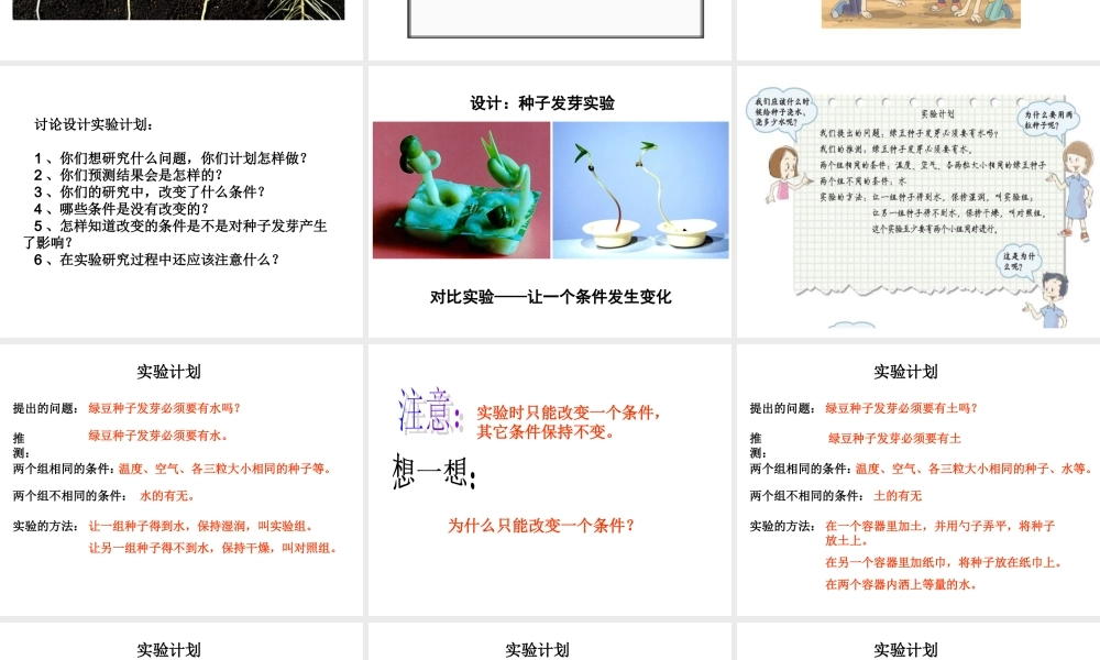 教科小学科学五上《1.1、种子发芽实验（一）》PPT课件(7)【加微信公众号 jiaoxuewuyou 九折优惠 qq 1119139686】.ppt