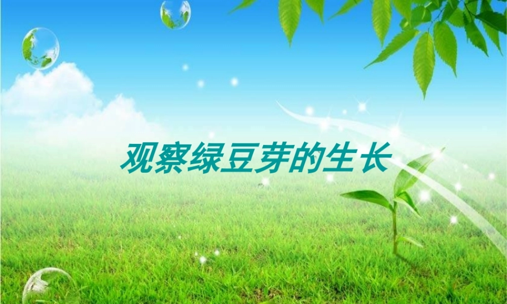 教科小学科学五上《1.3、观察绿豆芽的生长》PPT课件(5)【加微信公众号 jiaoxuewuyou 九折优惠 qq 1119139686】.ppt