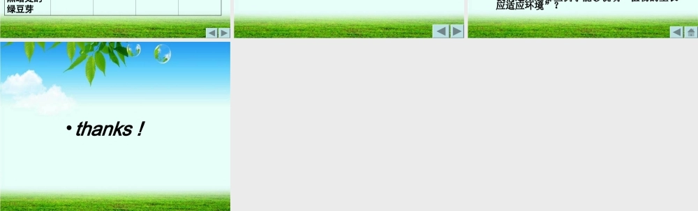 教科小学科学五上《1.3、观察绿豆芽的生长》PPT课件(5)【加微信公众号 jiaoxuewuyou 九折优惠 qq 1119139686】.ppt
