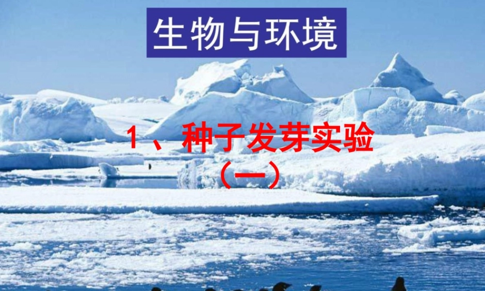 教科小学科学五上《1.1、种子发芽实验（一）》PPT课件(8)【加微信公众号 jiaoxuewuyou 九折优惠 qq 1119139686】.ppt
