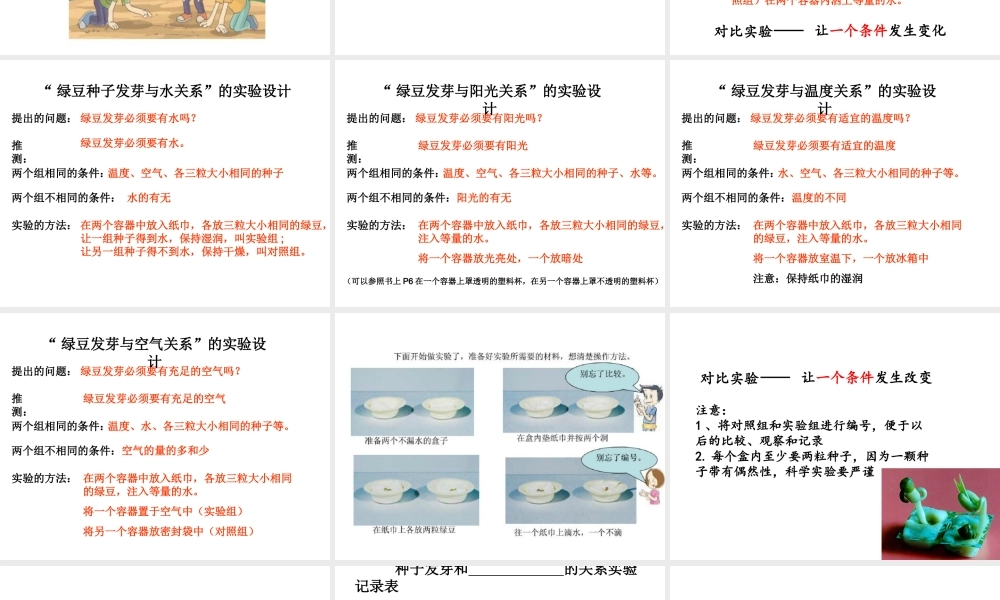 教科小学科学五上《1.1、种子发芽实验（一）》PPT课件(8)【加微信公众号 jiaoxuewuyou 九折优惠 qq 1119139686】.ppt