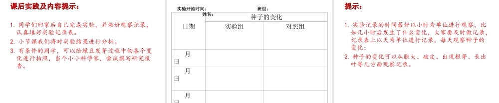 教科小学科学五上《1.1、种子发芽实验（一）》PPT课件(8)【加微信公众号 jiaoxuewuyou 九折优惠 qq 1119139686】.ppt