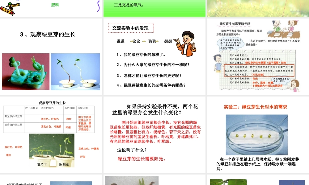 教科小学科学五上《1.2、种子发芽实验（二）》PPT课件(6)【加微信公众号 jiaoxuewuyou 九折优惠 qq 1119139686】.ppt