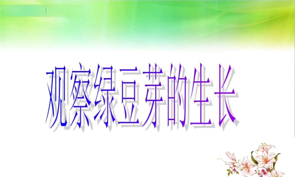 教科小学科学五上《1.3、观察绿豆芽的生长》PPT课件(6)【加微信公众号 jiaoxuewuyou 九折优惠 qq 1119139686】.ppt