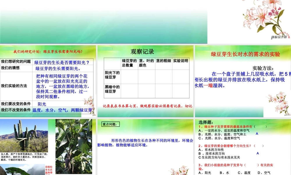 教科小学科学五上《1.3、观察绿豆芽的生长》PPT课件(6)【加微信公众号 jiaoxuewuyou 九折优惠 qq 1119139686】.ppt