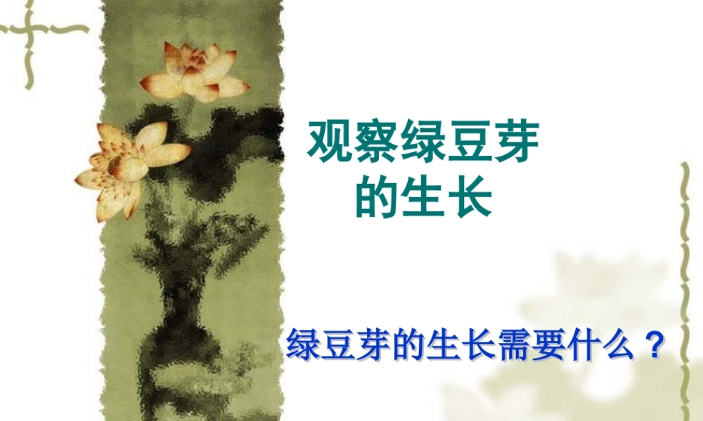 教科小学科学五上《1.3、观察绿豆芽的生长》PPT课件(9)【加微信公众号 jiaoxuewuyou 九折优惠 qq 1119139686】.ppt