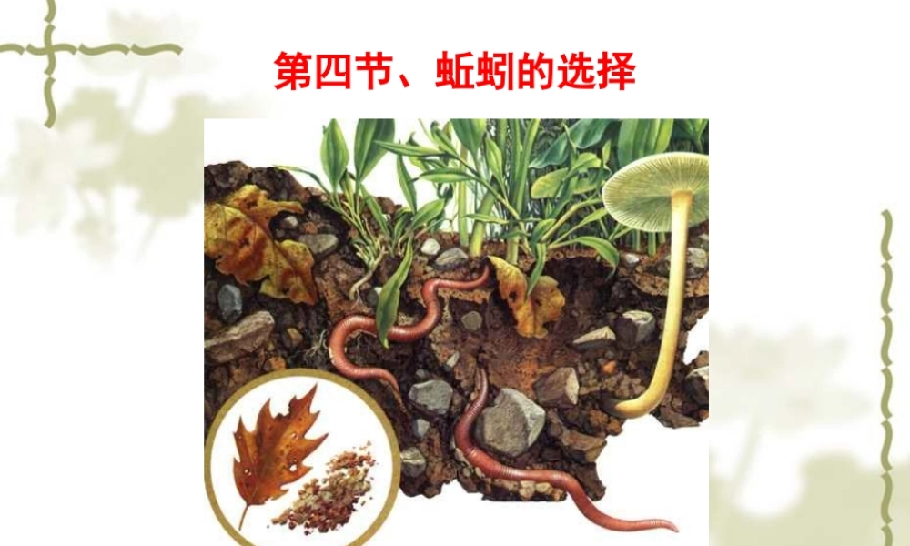 教科小学科学五上《1.4、蚯蚓的选择》PPT课件(7)【加微信公众号 jiaoxuewuyou 九折优惠 qq 1119139686】.ppt