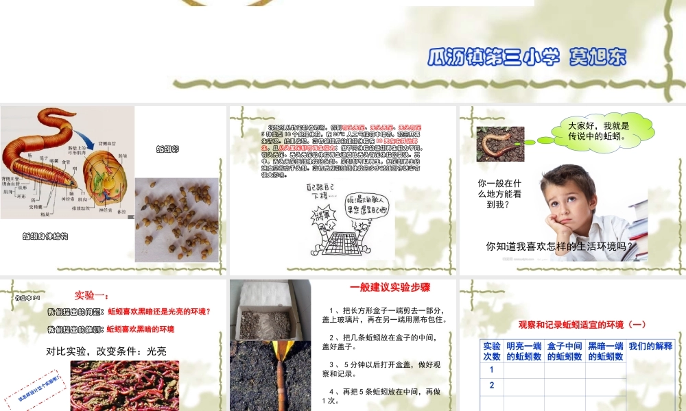 教科小学科学五上《1.4、蚯蚓的选择》PPT课件(7)【加微信公众号 jiaoxuewuyou 九折优惠 qq 1119139686】.ppt