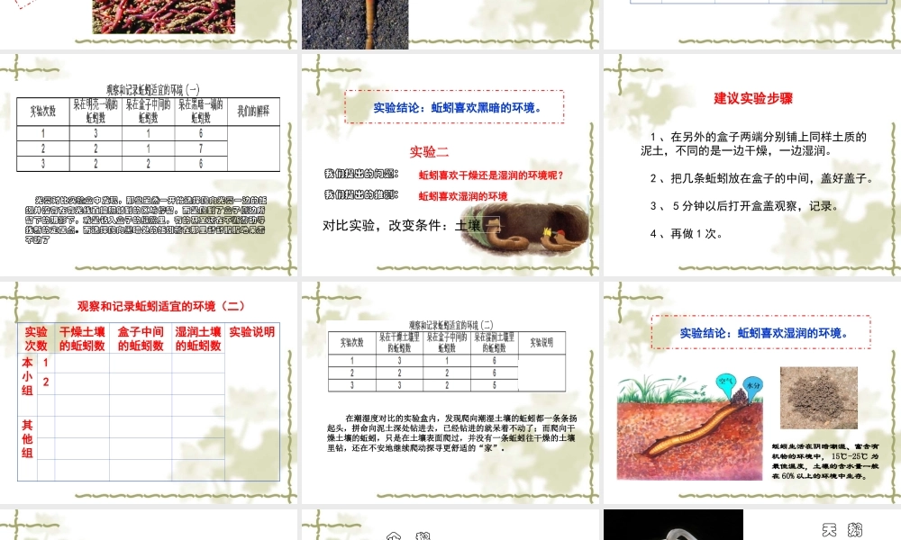教科小学科学五上《1.4、蚯蚓的选择》PPT课件(7)【加微信公众号 jiaoxuewuyou 九折优惠 qq 1119139686】.ppt