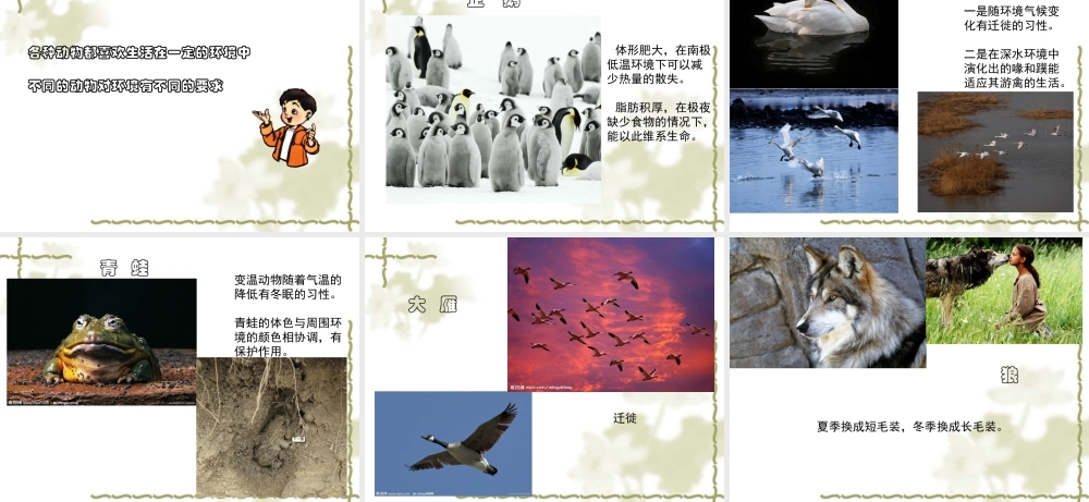 教科小学科学五上《1.4、蚯蚓的选择》PPT课件(7)【加微信公众号 jiaoxuewuyou 九折优惠 qq 1119139686】.ppt