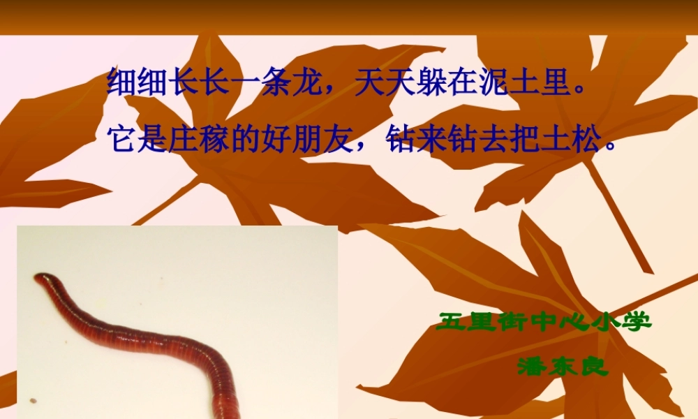 教科小学科学五上《1.4、蚯蚓的选择》PPT课件(10)【加微信公众号 jiaoxuewuyou 九折优惠 qq 1119139686】.ppt