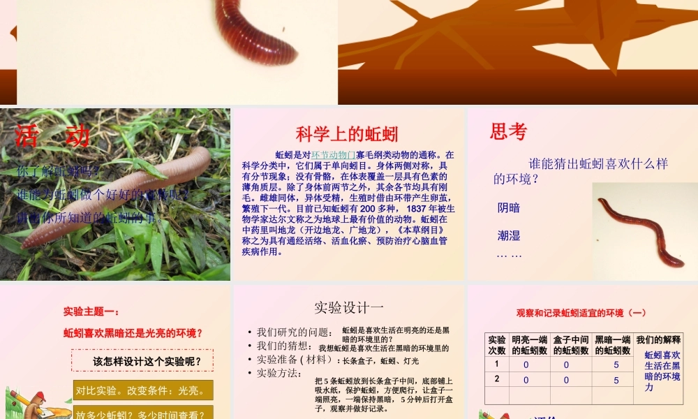 教科小学科学五上《1.4、蚯蚓的选择》PPT课件(10)【加微信公众号 jiaoxuewuyou 九折优惠 qq 1119139686】.ppt