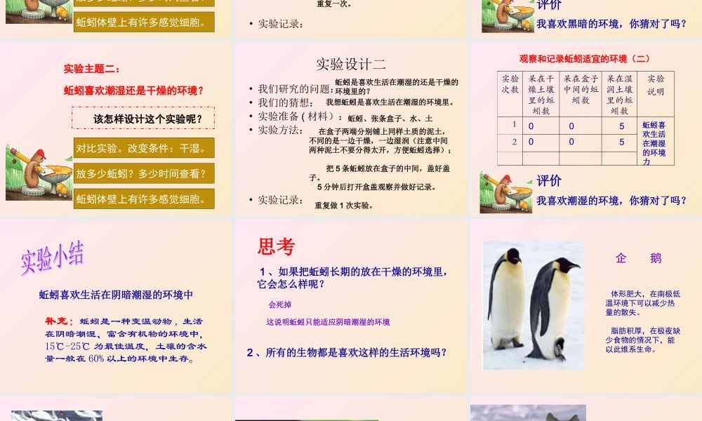 教科小学科学五上《1.4、蚯蚓的选择》PPT课件(10)【加微信公众号 jiaoxuewuyou 九折优惠 qq 1119139686】.ppt
