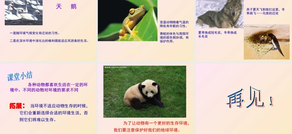 教科小学科学五上《1.4、蚯蚓的选择》PPT课件(10)【加微信公众号 jiaoxuewuyou 九折优惠 qq 1119139686】.ppt