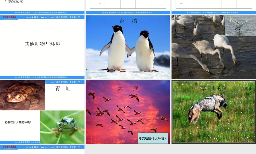 教科小学科学五上《1.4、蚯蚓的选择》PPT课件(2)【加微信公众号 jiaoxuewuyou 九折优惠 qq 1119139686】.ppt