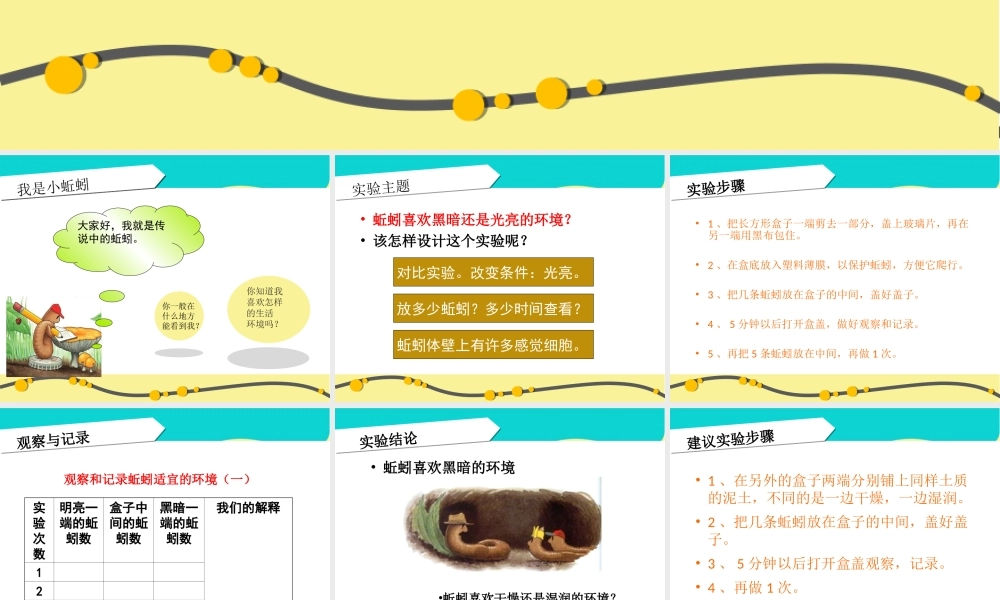 教科小学科学五上《1.4、蚯蚓的选择》PPT课件(9)【加微信公众号 jiaoxuewuyou 九折优惠 qq 1119139686】.ppt