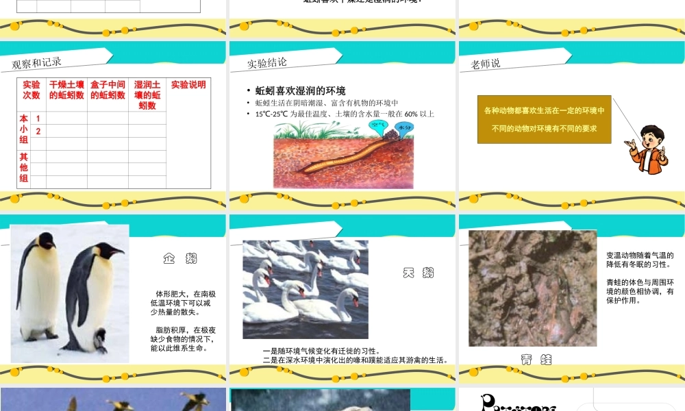 教科小学科学五上《1.4、蚯蚓的选择》PPT课件(9)【加微信公众号 jiaoxuewuyou 九折优惠 qq 1119139686】.ppt