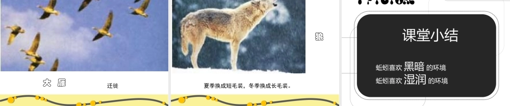 教科小学科学五上《1.4、蚯蚓的选择》PPT课件(9)【加微信公众号 jiaoxuewuyou 九折优惠 qq 1119139686】.ppt