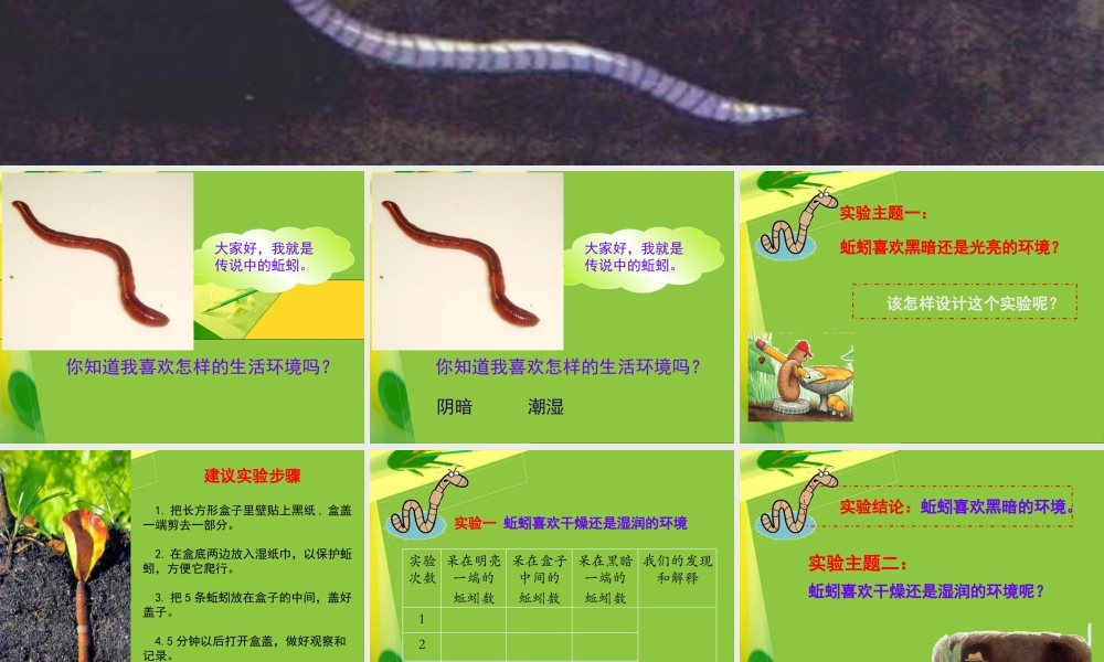 教科小学科学五上《1.4、蚯蚓的选择》PPT课件(1)【加微信公众号 jiaoxuewuyou 九折优惠 qq 1119139686】.ppt